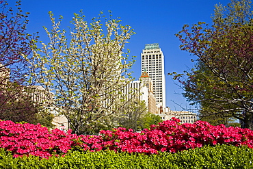 Downtown Tulsa, Oklahoma, United States of America, North America