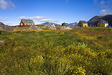 Colourful houses, Port of Nanortalik, Island of Qoornoq, Province of Kitaa, Southern Greenland, Kingdom of Denmark, Polar Regions