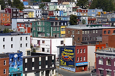 Colorful houses in St. John's City, Newfoundland, Canada, North America