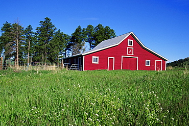 Red barn near Deadwood, Black Hills area, South Dakota, United States of America, North America