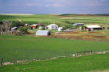 Farm on the prairie, Murdo area, South Dakota, United States of America, North America