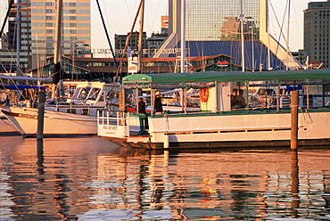Downtown boat marina, Jacksonville, Florida, United States of America, North America
