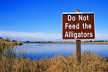 St. Marks National Wildlife Refuge, Tallahassee, Florida, United States of America, North America