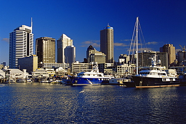 Hobson West Marina, Auckland, North Island, New Zealand, Pacific