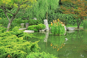 Japanese Friendship Garden, Kelley Park, San Jose, California, United States of America, North America