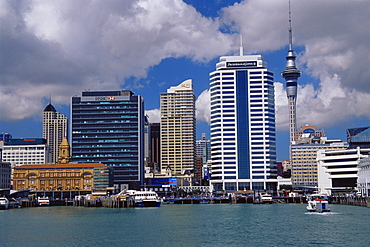 Skyline, Auckland, North Island, New Zealand, Pacific