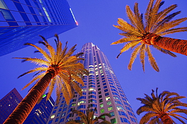 Citibank Center, Los Angeles, California, United States of America, North America