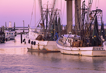 Fishing boats, Lazaretto Creek, Tybee Island, Savannah, Georgia, United States of America, North America