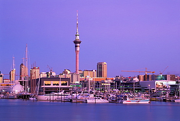 Sky Tower and skyline, Auckland, North Island, New Zealand, Pacific