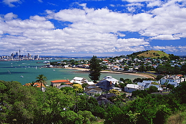 View of Auckland city from North Head Reserve, North Island, New Zealand, Pacific