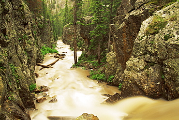 Old Fall River, Rocky Mountain National Park, Colorado, United States of America, North America