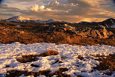 Independence Pass, Sawatch Range, Rocky Mountains, Aspen region, Colorado, United States of America, North America