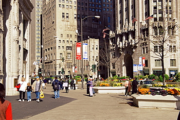 Wrigley Tower Plaza, Chicago, Illinois, United States of America, North America