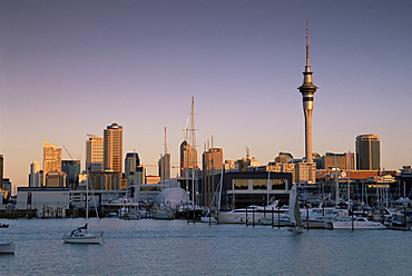 St. Mary's Bay, Auckland, North Island, New Zealand, Pacific