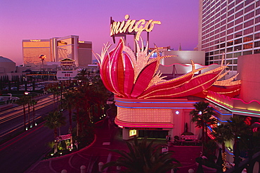 Flamingo and Mirage Hotels and Casinos, Las Vegas, Nevada, United States of America, North America