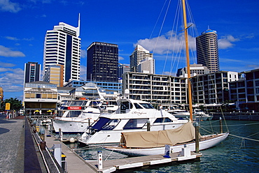 Viaduct Harbour, Auckland, North Island, New Zealand, Pacific