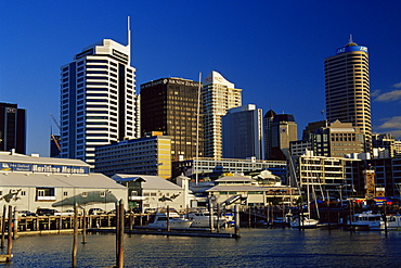 Hobson West Marina, Auckland, North Island, New Zealand, Pacific