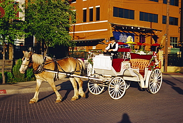 Horse and carriage, West End, Historic District, Dallas, Texas, United States of America, North America