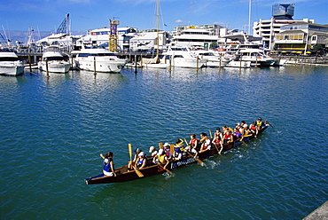 Rowing team, Viaduct Harbour, Auckland, North Island, New Zealand, Pacific