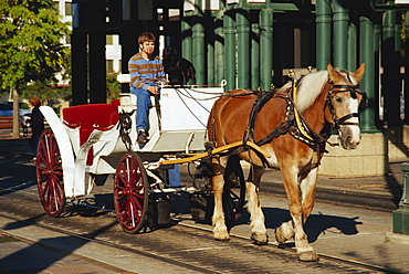 Carriage on Main Street, Memphis, Tennessee, United States of America, North America