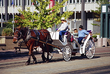 Carriage on Main Street, Memphis, Tennessee, United States of America, North America