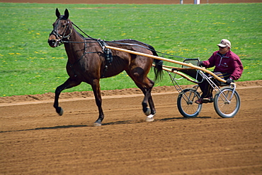 Red Mile Harness Track, Lexington, Kentucky, United States of America, North America