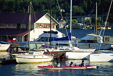 Marina, Portage Bay, Seattle, Washington state, United States of America, North America