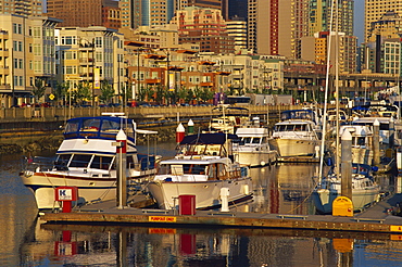 Bell Harbor Marina, Seattle, Washington state, United States of America, North America