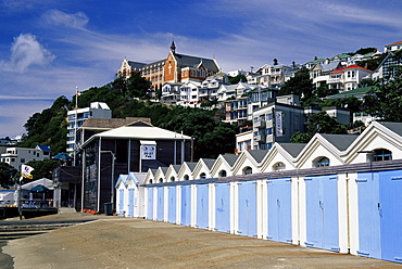 Boat sheds, Clyde Quay Marina, Wellington, North Island, New Zealand, Pacific