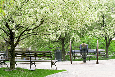 Cannon, Statehouse Garden, Columbus, Ohio, United States of America, North America