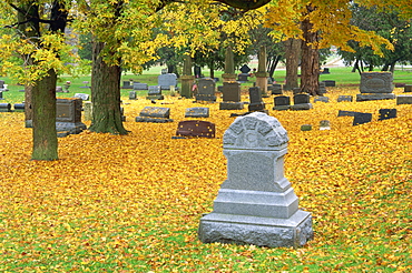 Old graveyard, Marble Head, Ohio, United States of America, North America