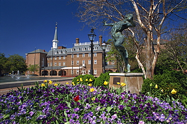 Brio statue and City Hall, Alexandria, Virginia, United States of America, North America