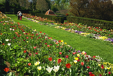 Dunbarton Oaks Garden, Georgetown, Washington D.C., United States of America, North America