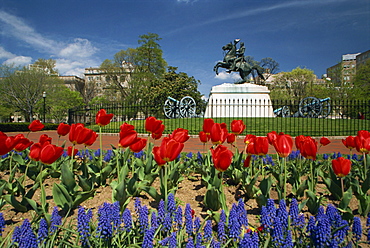 Andrew Jackson statue, Lafayette Square, Washington D.C., United States of America, North America