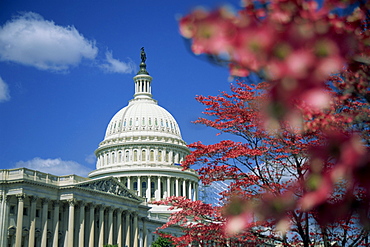 Capitol, Washington D.C., United States of America, North America