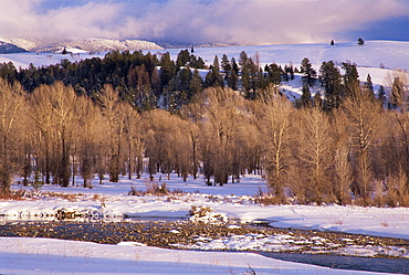 Gross Ventre River, Teton National Park, Wyoming, United States of America, North America