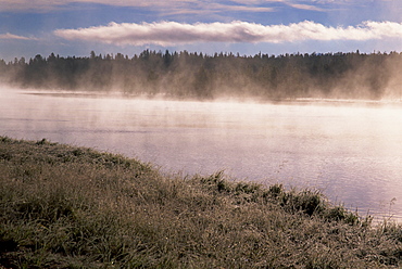 Fishing Bridge region, Yellowstone National Park, UNESCO World Heritage Site, Wyoming, United States of America, North America