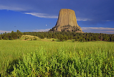 Devils Tower National Monument, Wyoming, United States of America, North America