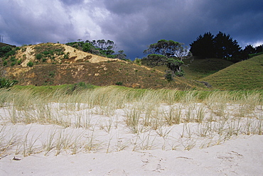 Rings Beach, Kuaotunu Bay, Coromandel Peninsula, North Island, New Zealand, Pacific