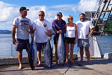 Blue fin tuna fishing contest, Whitianga Bay, Coromandel region, North Island, New Zealand, Pacific