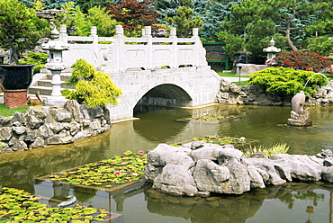 Buddhist temple garden, Richmond City, Greater Vancouver, British Columbia, Canada, North America