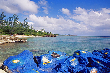 Spotts Bay, Grand Cayman Island, West Indies, Caribbean, Central America