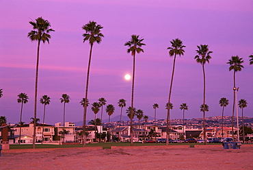 Beachfront homes, Balboa Island, Newport Beach, southern California, California, United States of America, North America