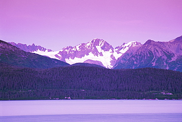 Godwin Glacier, Seward, Alaska, United States of America, North America