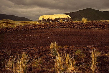 Bogland and turf row, Lettershanbally Bog, Leenane, County Mayo, Connacht, Republic of Ireland, Europe