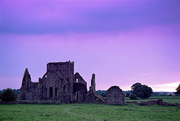 Hore Abbey, Cashel, County Tipperary, Munster, Republic of Ireland, Europe