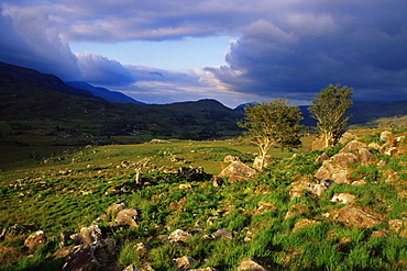 Molls Gap, Killarney region, County Kerry, Munster, Republic of Ireland, Europe