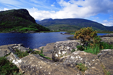 The Long Range, Lakes of Killarney region, County Kerry, Munster, Republic of Ireland, Europe