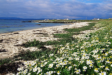 Manin Bay Beach, Connemara, County Galway, Connacht, Republic of Ireland, Europe