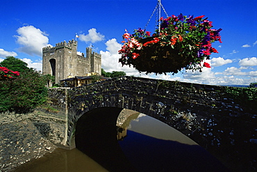 Flower basket and Bunratty Castle, County Clare, Munster, Republic of Ireland, Europe